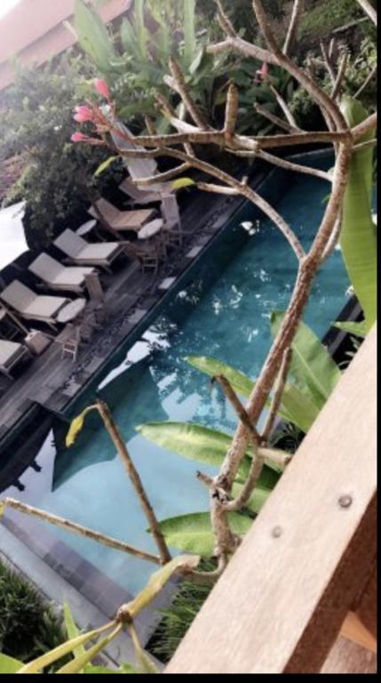Kailash Bali Privatunterkunft *