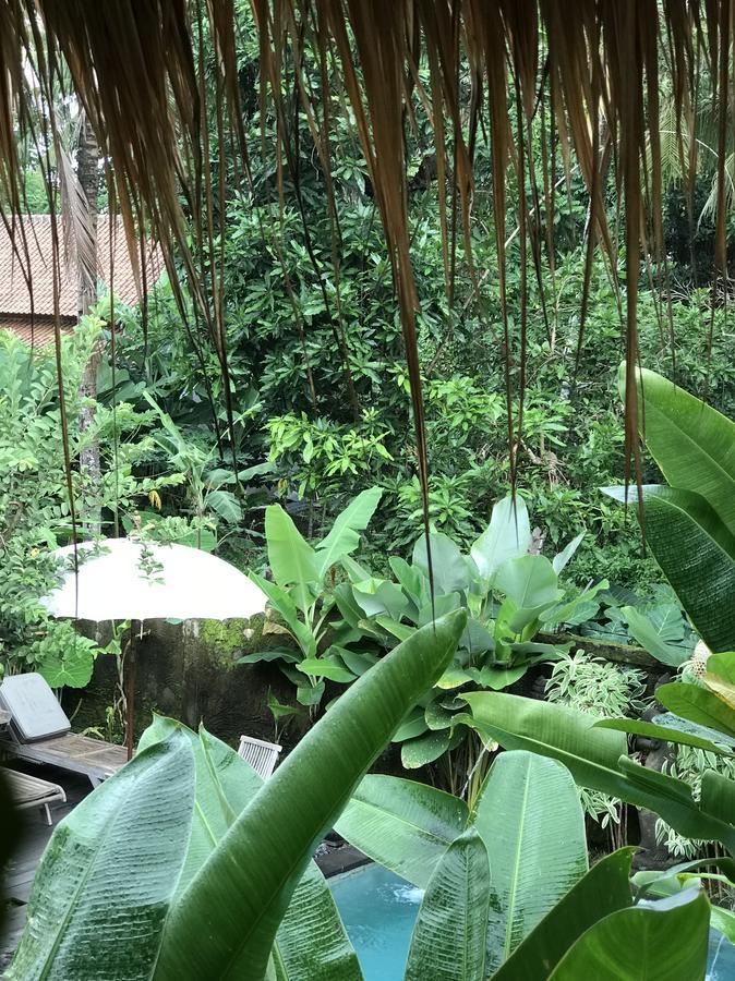 Kailash Bali Ubud