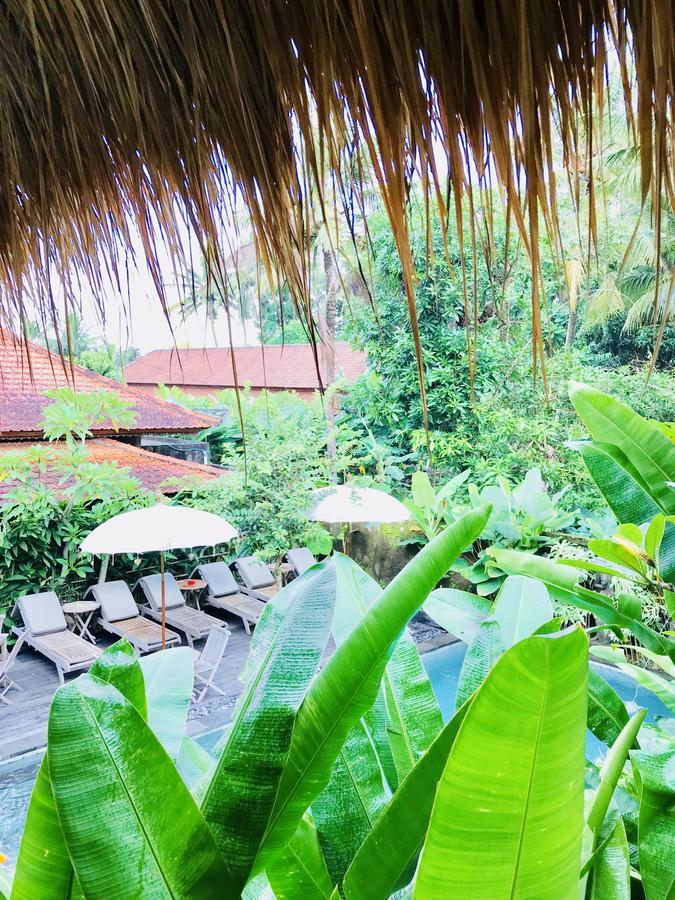 Privatunterkunft Kailash Bali *