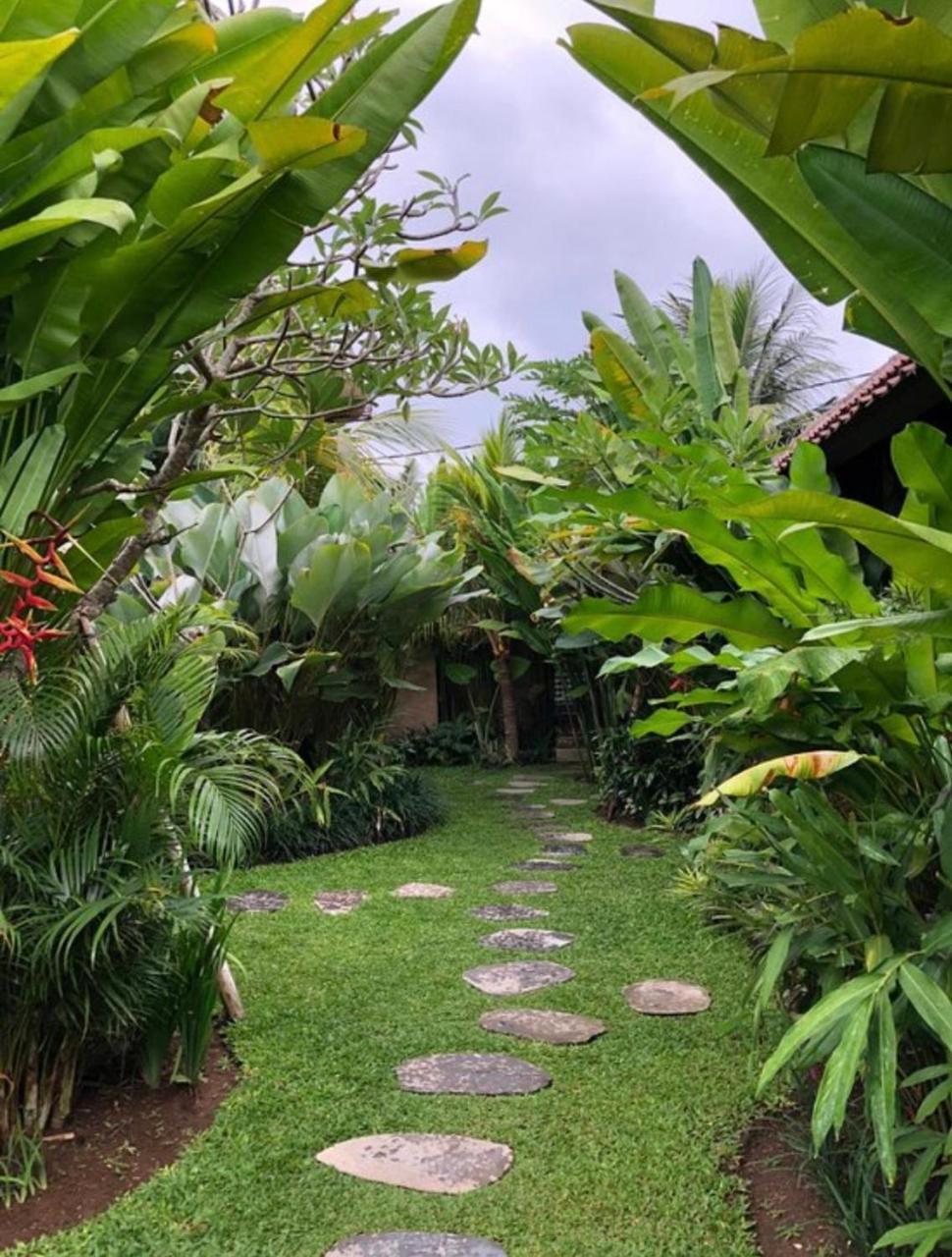 Kailash Bali Homestay *